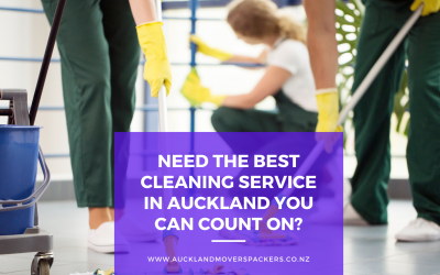Need The Best Cleaning Service in Auckland You Can Count on?