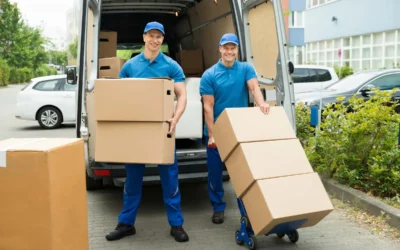 Expert Tips on Finding the Best Auckland Removalists for Your Budget