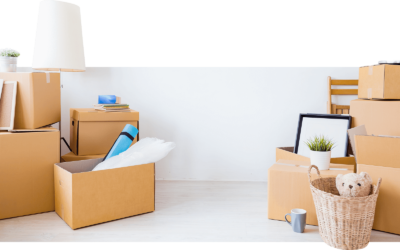 The Ultimate Guide to Full House Moving in Auckland with Auckland Movers Packers